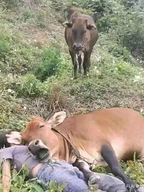 校内匿名论坛